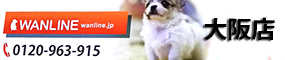 子犬たちの動画を高画質で配信中!